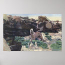 Recherche de stallion Palomino