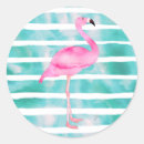 Search for flamingoes stickers Tropical bird