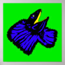 Search for no frills posters Frilled neck lizard