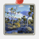 Search for wilderness ornaments Desert