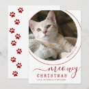 Search for pawed christmas cards Cat