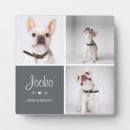 Search for collage pet memorials Heart