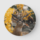 Recherche de deer hunting Whitetail