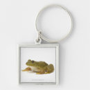 Recherche de grenouille verte porteclés Tir de studio