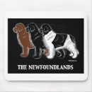 Search for newfies electronics Dog