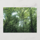 Recherche de nuageux cartes postales Tropical