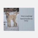 Recherche de caniche photographie Dog