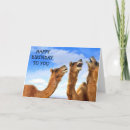 Search for camel birthday cards Photography