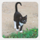 Search for cat scrapbook stickers Animal