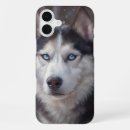 Search for siberian husky iphone cases Winter