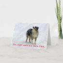 Search for pony christmas cards Pet