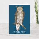 Search for owl bird cards Owls