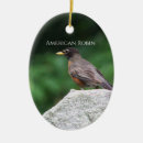 Search for robin bird ornaments Photography