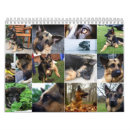 Search for german shepherd calendars Animals