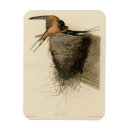 Recherche de hirondelles magnets Oiseau