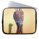 Search for native america electronics Bird