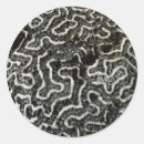 Search for black and coral stickers White