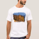 Search for avignon clothing France