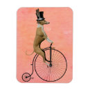 Recherche de levrier magnets Bicyclette