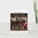 Recherche de terriers de cairn vœux cartes Chiots