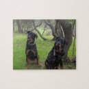 Search for rottweiler puzzles Rottie