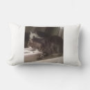 Search for talking pillows Pets