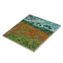 Recherche de pavots sauvages carreaux Nature