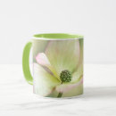 Recherche de fleur de cornouiller tasses Botanique