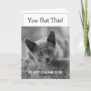 Search for cat encouragement cards You got this