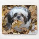 Recherche de tzu shih tapis souris Chien