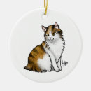 Search for cat tail Kitten