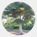 Search for wisdom stickers Nature