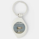 Search for seals keychains Beach