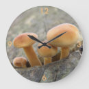 Recherche de tabouret horloges Champignon