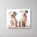 Search for dalmatian dog canvas prints Photography
