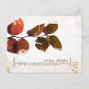 Search for thanksgiving thank you cards White