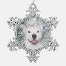 Recherche de pitbull ornements Terrier de pitbull