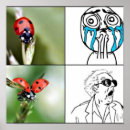 Recherche de memes art Comique
