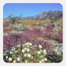 Search for dunes stickers Desert