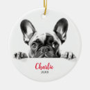 Search for french bulldogs ornaments For pets