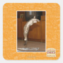 Search for pointer stickers I can has cheezburger