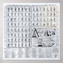 Recherche de héraldique art Armure