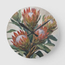 Search for velvet clocks Botanical