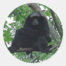 Search for gibbon stickers Nature