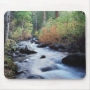 Search for eleven eleven mousepads California