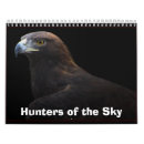 Search for eagle hunter Raptor