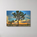 Search for mojave art Usa