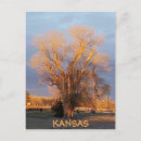 Search for prairie postcards Tree