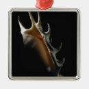 Search for studio ornaments Single object
