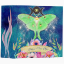 Search for moth binders Wings